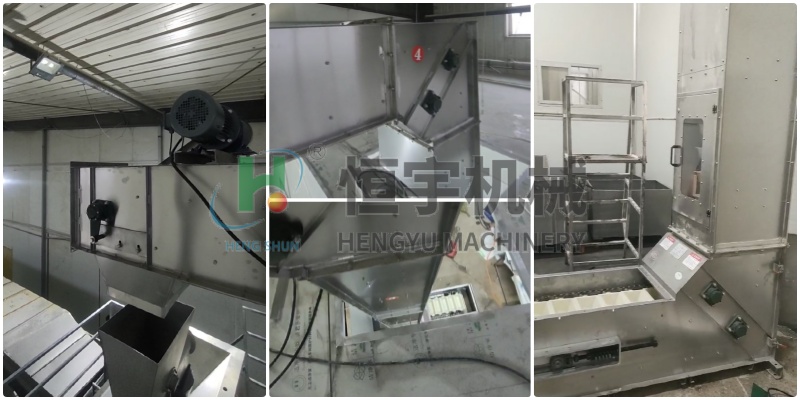 不銹鋼z型斗式提升機大豆客戶現(xiàn)場